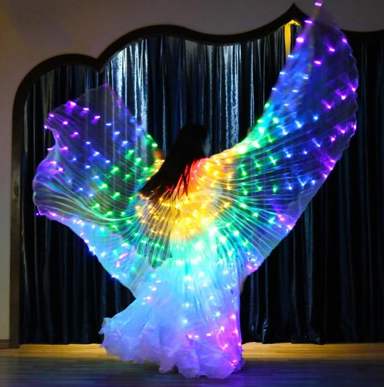 Colorful LED Dancing Wings for Children