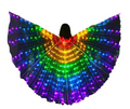 Colorful LED Dancing Wings for Children